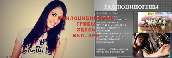 экстази Гусев