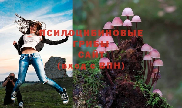 марки lsd Гусь-Хрустальный