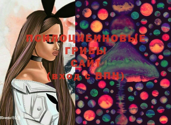 марки lsd Гусь-Хрустальный
