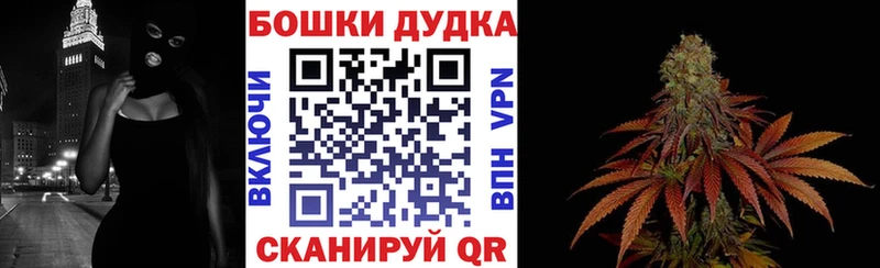 Купить где  Томмот  Каннабис индика 